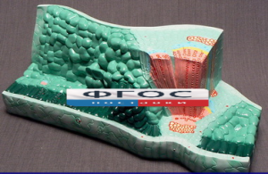 Модель "Структура листа" - fgospostavki.ru - Тихорецк