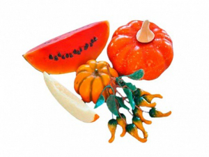 Набор муляжей "Бахчевые культуры" - fgospostavki.ru - Тихорецк