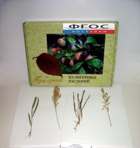 Гербарий "Культурные растения" (28 видов) - fgospostavki.ru - Тихорецк
