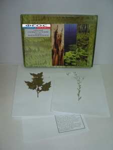 Гербарий "Сорные растения" (24 вида) - fgospostavki.ru - Тихорецк