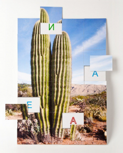 Магнитная орфография (безударные гласные, 1 класс) "Кактус" - fgospostavki.ru - Тихорецк