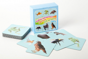 Набор магнитных карточек "Устный счет" (фон голубой) - fgospostavki.ru - Тихорецк