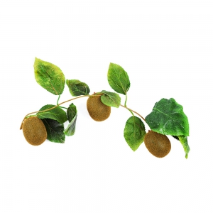 Ветка муляжей "Киви" - fgospostavki.ru - Тихорецк