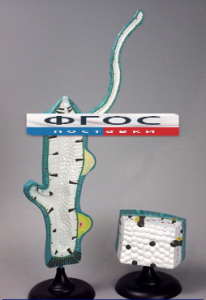 Модель "Гидра" - fgospostavki.ru - Тихорецк