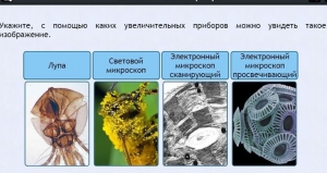 Интерактивные курсы. Биология 5 класс. Расширенный - fgospostavki.ru - Тихорецк