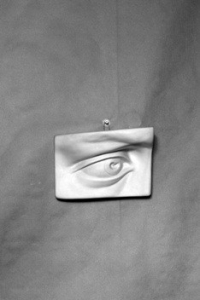 Гипсовая модель "Глаз" - fgospostavki.ru - Тихорецк