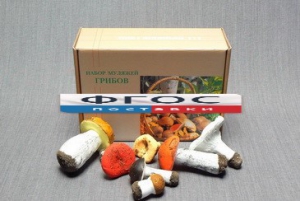 Набор муляжей грибов - fgospostavki.ru - Тихорецк