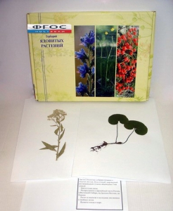 Гербарий "Ядовитые растения" (20 видов) - fgospostavki.ru - Тихорецк