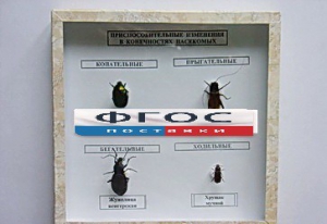 Коллекция энтомологическая "Приспособительные изменения в конечностях насекомых" - fgospostavki.ru - Тихорецк