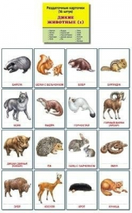 Раздаточные карточки "Дикие животные (1)" - fgospostavki.ru - Тихорецк