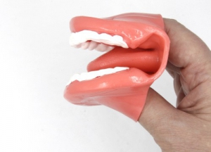 Муляж рта (мини) - fgospostavki.ru - Тихорецк