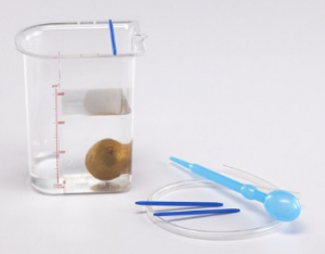 Сосуд Архимеда - fgospostavki.ru - Тихорецк