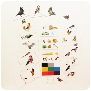 Набор магнитных карточек "Загадки-отрицания". Птицы - fgospostavki.ru - Тихорецк