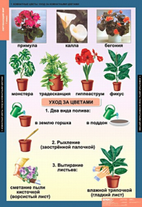 Комплект таблиц. Окружающий мир 1 класс. - fgospostavki.ru - Тихорецк