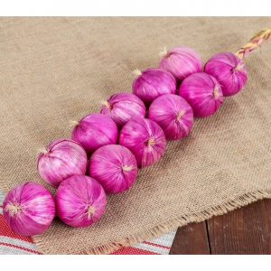 Муляжи "Связка лука" - fgospostavki.ru - Тихорецк