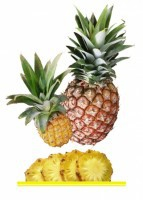 Комплект карточек "Запоминай, играй, считай" - Фрукты - fgospostavki.ru - Тихорецк