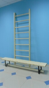 Стенка гимнастическая шведская премиум (1000х3200 мм) - fgospostavki.ru - Тихорецк