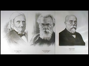 Портреты биологов (26 штук, формат А3) - fgospostavki.ru - Тихорецк