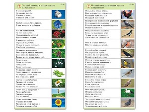 Комплект карточек (10) "Обучающий калейдоскоп. Природа" - fgospostavki.ru - Тихорецк