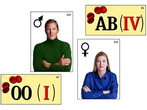 Модель-аппликация "Генетика групп крови" (ламинированная) - fgospostavki.ru - Тихорецк