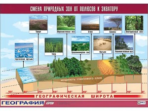 Таблица демонстрационная "Смена природных зон от полюсов к экватору" (винил 100*140) - fgospostavki.ru - Тихорецк