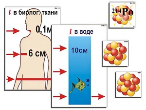 Модель-аппликация "Явление радиоактивности" (ламинированная) - fgospostavki.ru - Тихорецк