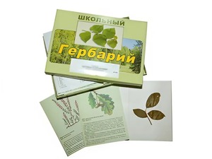 Гербарий "Дикорастущие растения" (30 видов, с иллюстрациями) - fgospostavki.ru - Тихорецк