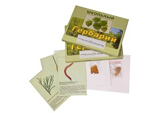 Гербарий "Основные группы растений. Грибы. Лишайники" (53 листа, с иллюстрациями и фотографиями) - fgospostavki.ru - Тихорецк