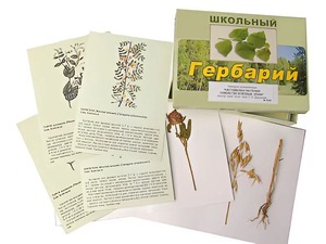 Гербарий "Систематика растений. Семейство Бобовые. Злаки" (раздаточный) - fgospostavki.ru - Тихорецк