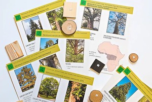 Коллекция "Древесные растения и их распространение" (демонстрационная) - fgospostavki.ru - Тихорецк