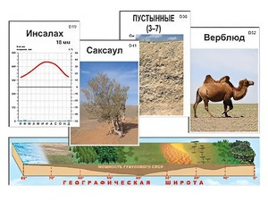 Модель-аппликация "Природные зоны" - fgospostavki.ru - Тихорецк