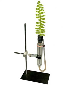 Прибор для демонстрации всасывания воды корнями - fgospostavki.ru - Тихорецк