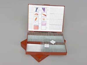 Комплект микропрепаратов "Общая биология" - fgospostavki.ru - Тихорецк