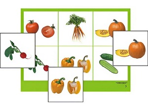Логопедическое лото "Овощи" (4 планшета, 24 карточки, цветное, ламинированное) - fgospostavki.ru - Тихорецк