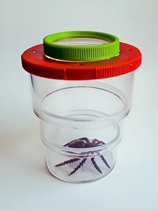 Коробка для изучения насекомых (с лупой) - fgospostavki.ru - Тихорецк