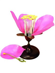 Модель цветка яблони - fgospostavki.ru - Тихорецк