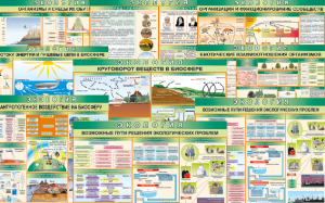 Комплект таблиц "Экология (9 листов)" (100х140 сантиметров, винил) - fgospostavki.ru - Тихорецк