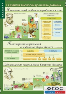 Комплект таблиц. Биология 10-11 класс. Эволюционное учение. - fgospostavki.ru - Тихорецк