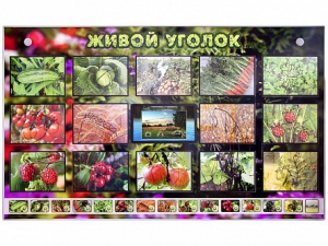 Комплект оборудования "Живой уголок" (растения) с тифлопереводом и сурдокомментариями - fgospostavki.ru - Тихорецк