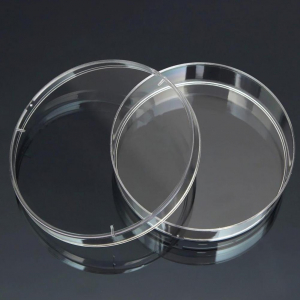 Чашка Петри стеклянная с крышкой 100х20 - fgospostavki.ru - Тихорецк