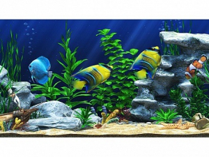 Интерактивный аттракционный комплекс "Водный мир" - fgospostavki.ru - Тихорецк