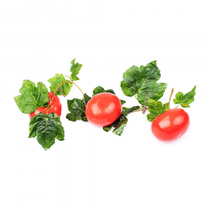 Ветка муляжей "Помидоры" - fgospostavki.ru - Тихорецк