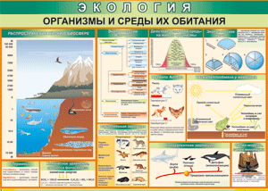 Таблица "Организмы и среды их обитания" (100х140 сантиметров, винил) - fgospostavki.ru - Тихорецк