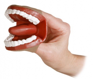 Муляж артикуляционного аппарата - fgospostavki.ru - Тихорецк