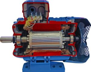 Учебная модель «Электродвигатель асинхронный в разрезе» - fgospostavki.ru - Тихорецк