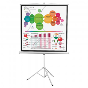 Экран на штативе DSKD-1104 - fgospostavki.ru - Тихорецк