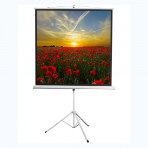 Экран на штативе DSKD-1105  - fgospostavki.ru - Тихорецк