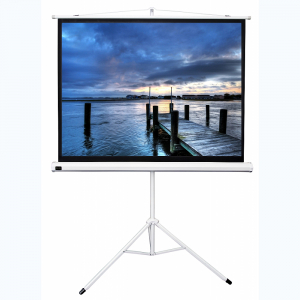 Экран на штативе DSKD-4302 - fgospostavki.ru - Тихорецк