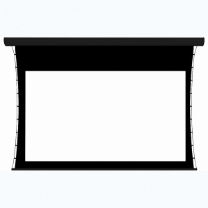 Экран настенный с электроприводом DSTPX-16918 - fgospostavki.ru - Тихорецк