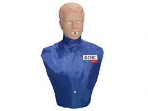 Тренажер-манекен взрослого пострадавшего "Искандер" для отработки приемов удаления инородного тела из верхних дыхательных путей - fgospostavki.ru - Тихорецк